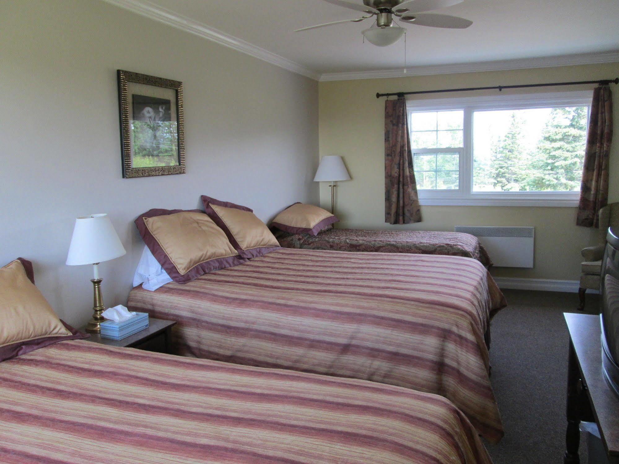 Scenic Motel Moncton Zewnętrze zdjęcie